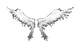 Angel Wings