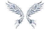 Wing of Soul